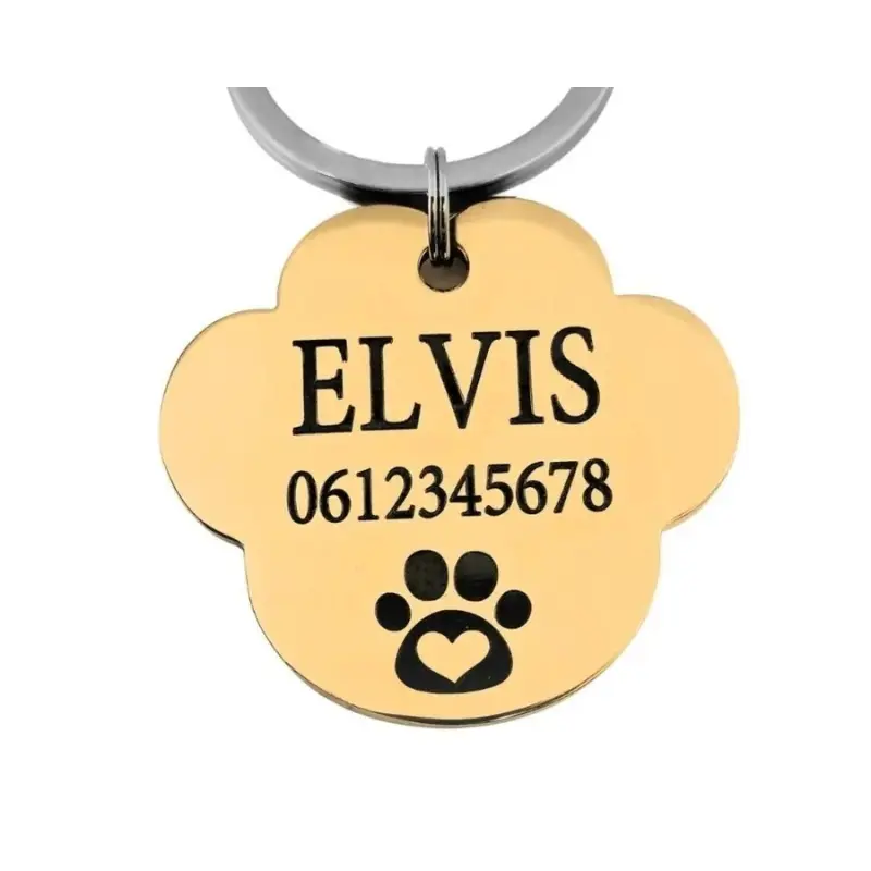 stoere hondenpenning graveren met naam en afbeelding goudkleurig