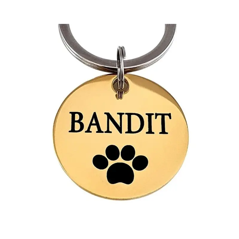 Penning hond of kat met adres aan 2 kanten laten graveren - Mooie katten of hondenpenning met naam goud