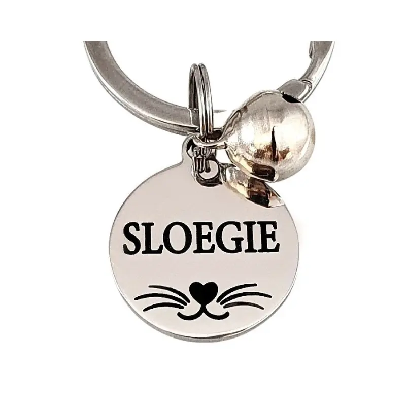 Dierenpenning hond of kat zilverkleurig