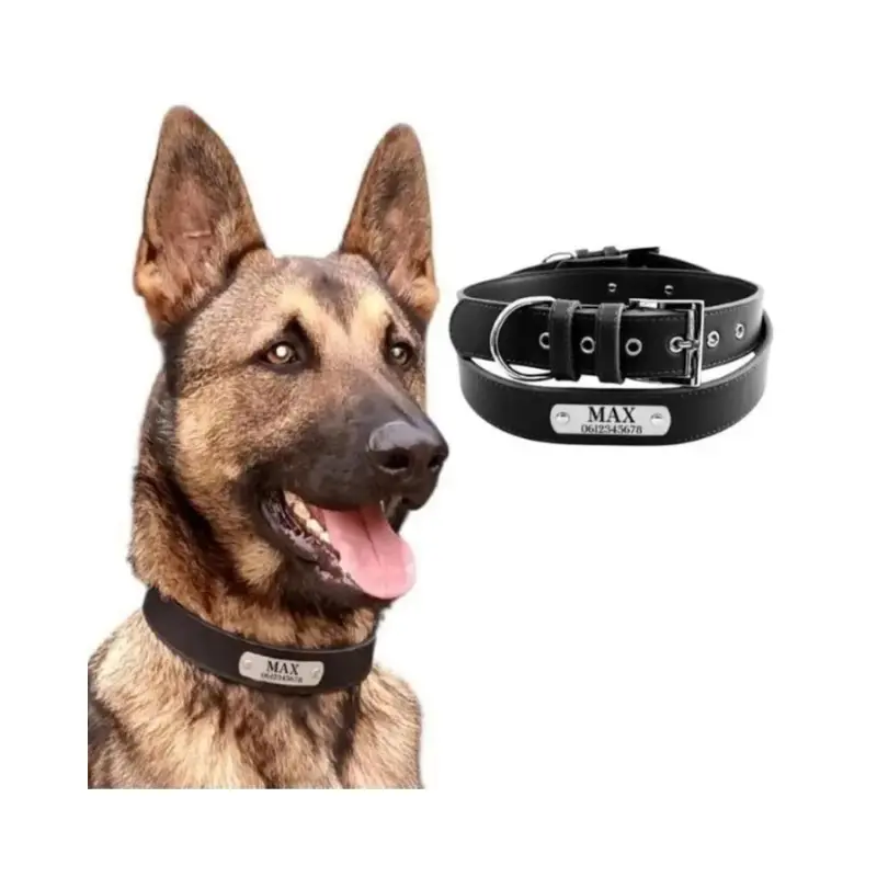 Hondenhalsband met naam honden halsband met naam