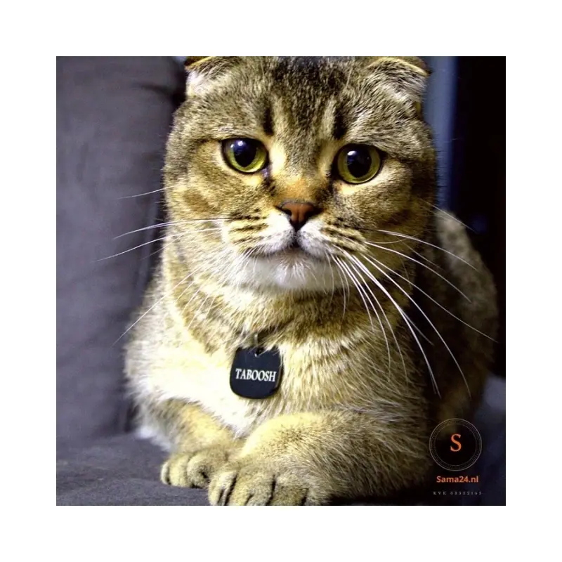 Katten penning met naam en bel met adres en telefoonnummer graveren